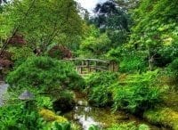 заСАДа-6-серия