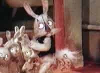 программа В гостях у сказки: Заячий хвостик