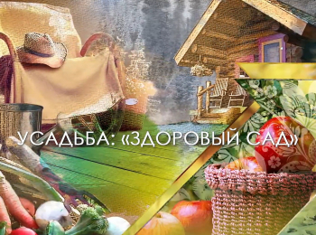 программа Усадьба: Здоровый сад 25 серия