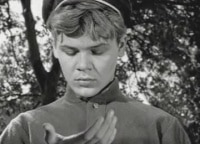 Зеленый-фургон