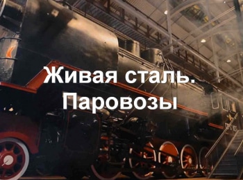 программа Russian Travel Guide (RTG): Живая сталь Паровозы