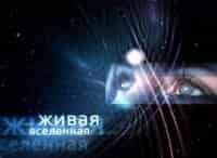 программа Культура: Живая Вселенная Солнце и Земля Вспышка
