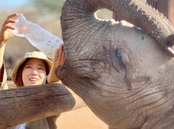 Животное-человек-Смертельная-традиция