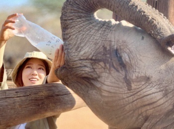 программа Русский Экстрим: Животное человек