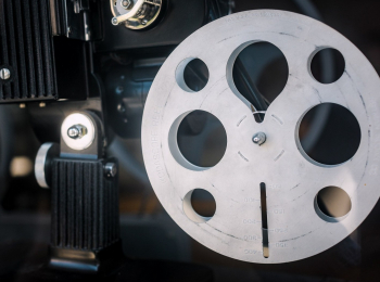 Животные-наркоманы-Пьяные-медведи