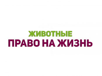Животные-право-на-жизнь