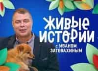 Живые-истории-Выпуск-от-1-сентября