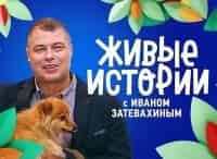 Живые-истории-Выпуск-от-17-февраля