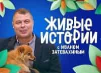 Живые-истории-Выпуск-от-25-февраля