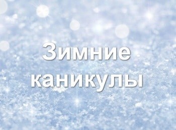 программа Russian Travel Guide (RTG): Зимние каникулы