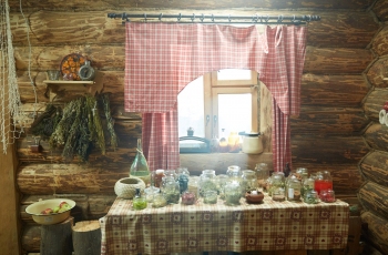 программа Домашний: Знахарка Непутевый