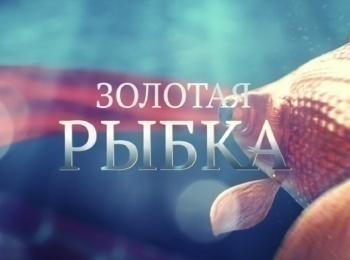 программа Доверие: Золотая рыбка Татьяна Устинова