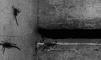 программа ОТР: Золотой век