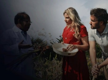 Zones-bleues,-les-secrets-de-la-longévité