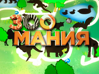 Зоомания-Жизнь-на-реке