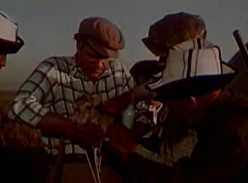 программа Наш киномир: Звероловы