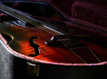 программа Беларусь 24: Звуки в футляре