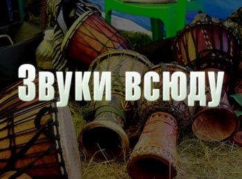программа Поехали: Звуки всюду