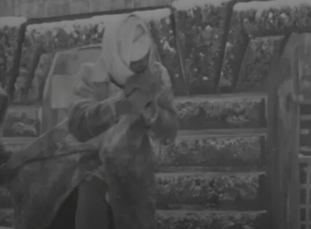 Блокада Ленинграда на экране: Топ-10 фильмов, заставляющих пережить ужасы войны и верить в человеческую силу кадры