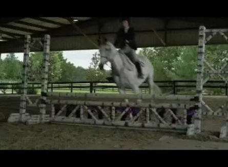 A Gift Horse кадры A Gift Horse кадры