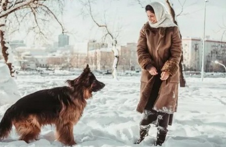 А у нас во дворе... Прерванный сезон кадры