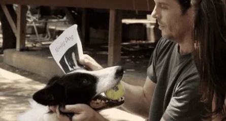 Angel Dog кадры Angel Dog кадры