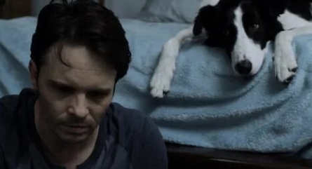 Angel Dog кадры Angel Dog кадры