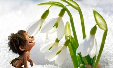Ариэль Вромен выращивает Подснежники кадры Ариэль Вромен выращивает Подснежники кадры