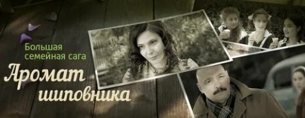 Аромат шиповника кадры Аромат шиповника кадры