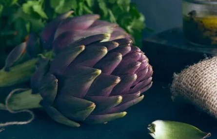 АРТиШОК кадры