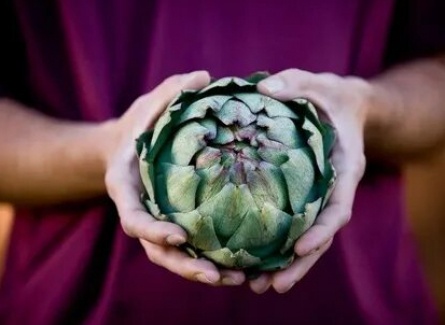 АРТиШОК кадры