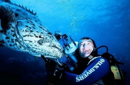 Атлантис кадры