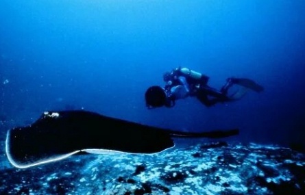 Атлантис кадры