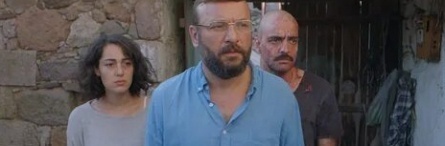 Бабочки кадры Бабочки кадры