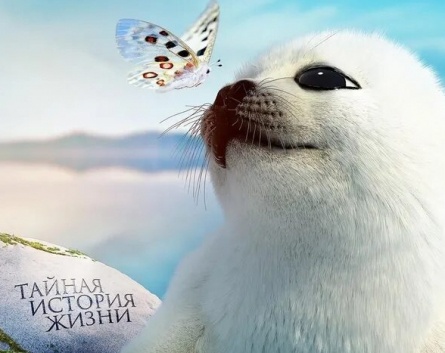 Байкал. Удивительные приключения Юмы кадры Байкал. Удивительные приключения Юмы кадры