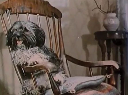 Барбос в гостях у Бобика кадры