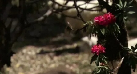 BBC: Ганг кадры