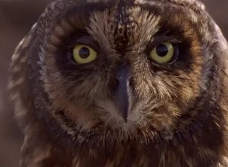 BBC: Ганг кадры