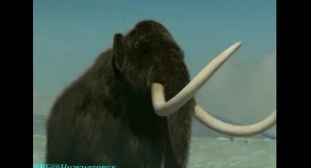 BBC: Первобытная Америка кадры BBC: Первобытная Америка кадры