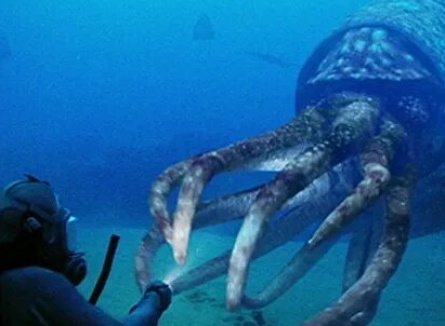 BBC: Прогулки с морскими чудовищами кадры