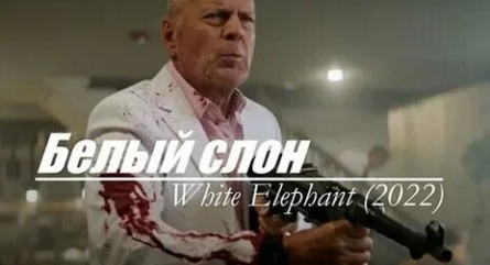 Белый слон кадры Белый слон кадры