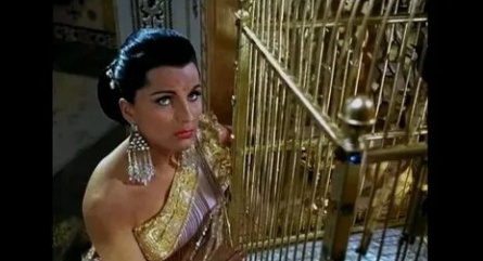 Бенгальский тигр кадры Бенгальский тигр кадры