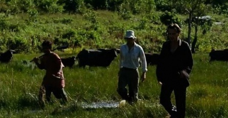 Безумие Альмейера кадры