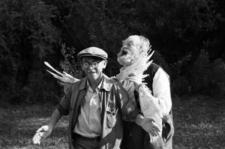 Ботанический сад кадры Ботанический сад кадры