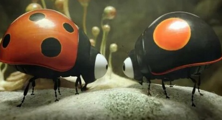 Божья коровка кадры