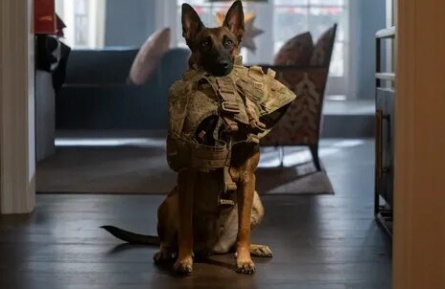 BRICS Кино кадры BRICS Кино кадры