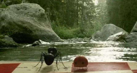 Букашки кадры