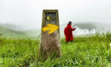 Camino de Santiago кадры