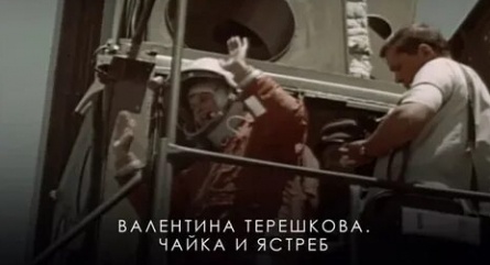 Чайка и Ястреб кадры Чайка и Ястреб кадры