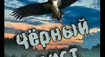 Черный аист кадры Черный аист кадры